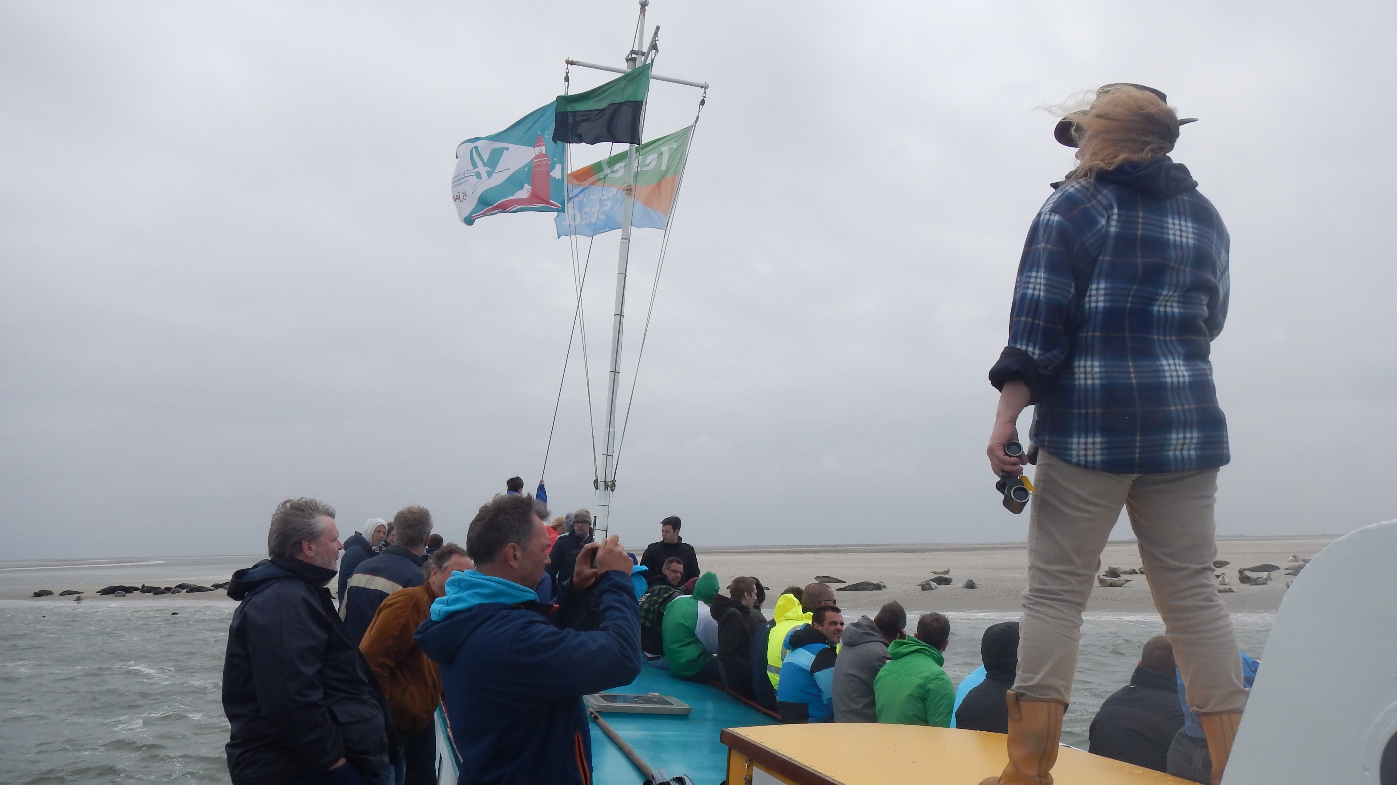 HWK Texel 2015 074.jpg